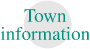 Town information